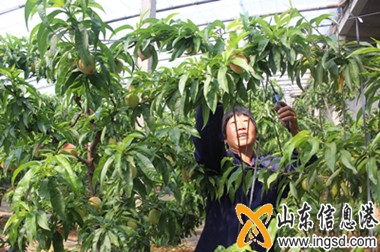 02_副本.jpg