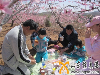 游客一家桃花樹下席地野餐圖_副本.jpg